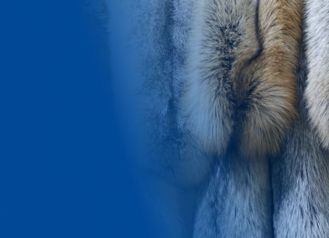 Маркировка Честный знак шубы и меховые изделия 